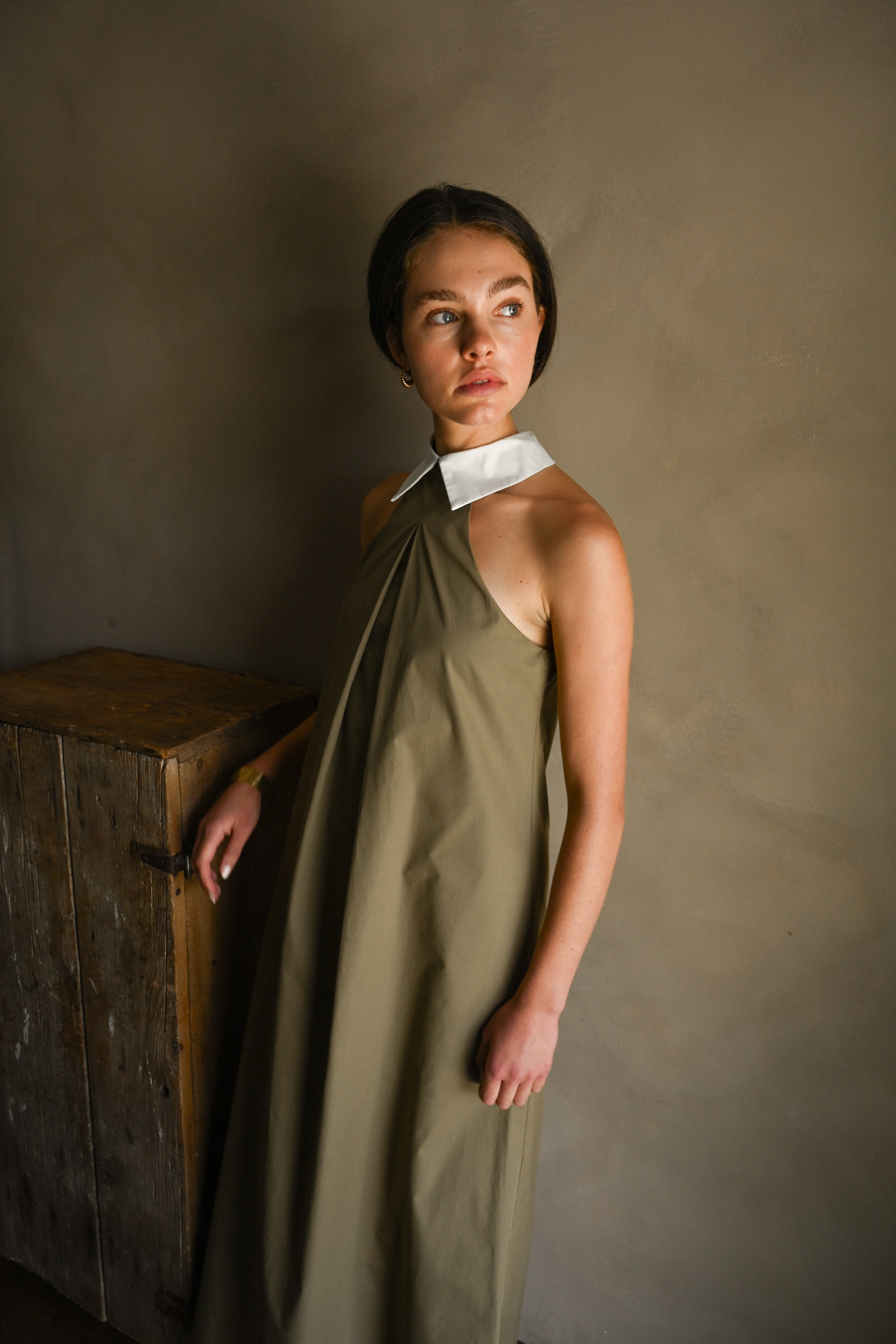 Reilly Cotton Poplin Dress — Olive